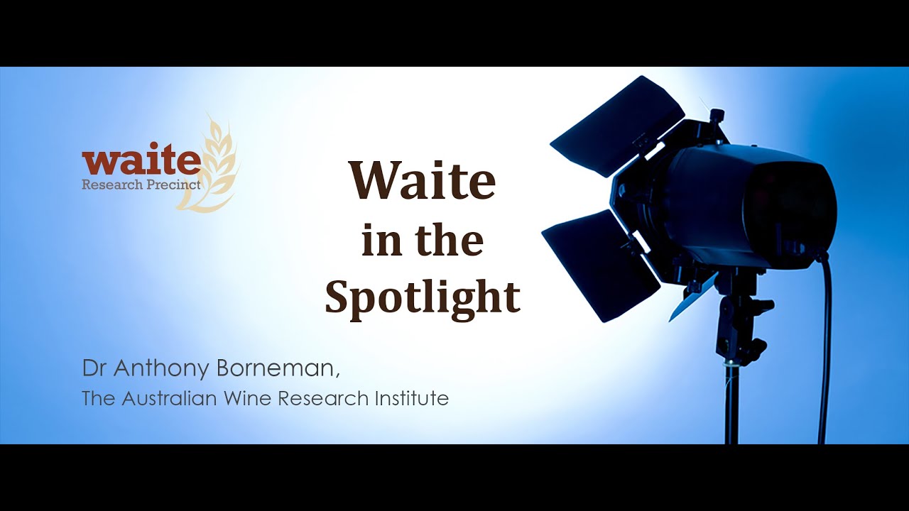 A tale of shipwrecks, yeast and beer. Dr Anthony Borneman, Australian Wine Research Institute