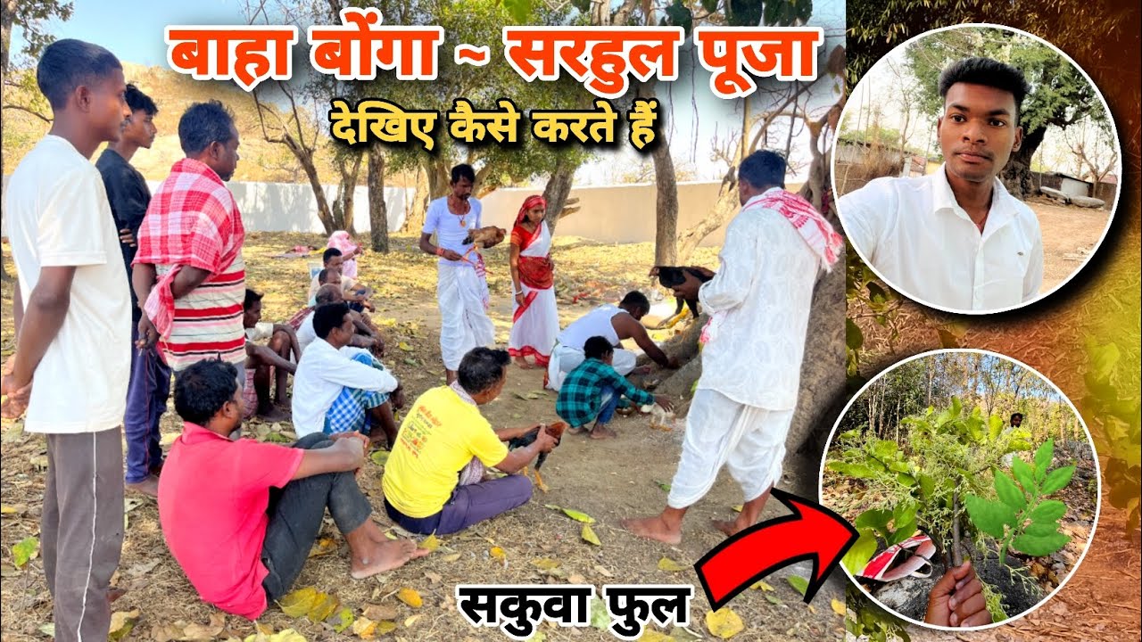 बाहा बोंगा सरहुल पूजा कैसे करते हैं देखिए वीडियो में || Adivasi Sarhul Puja Full Vlog video 2026