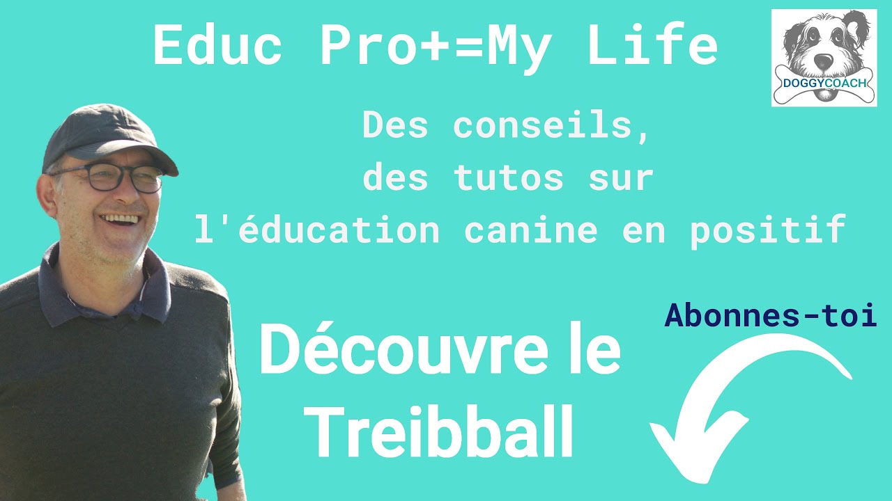 #treibball  LE NOUVEAU #sportcanin qui déchire ! Mais pas les ballons