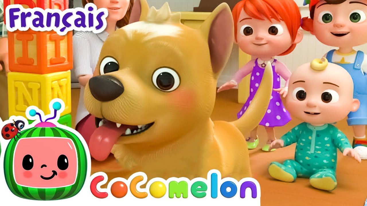 BINGO | CoComelon en Fran&ccedil;ais | Chansons pour b&eacute;b&eacute;s