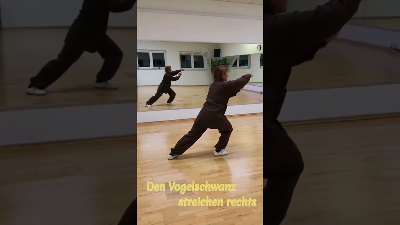Yang Stil 24 Tai Chi Chuan 