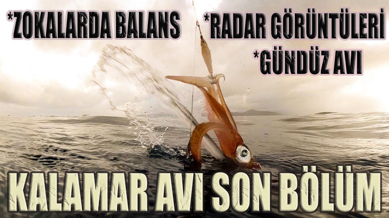 KALAMAR VE  AVCILIĞI SON BÖLÜM...
