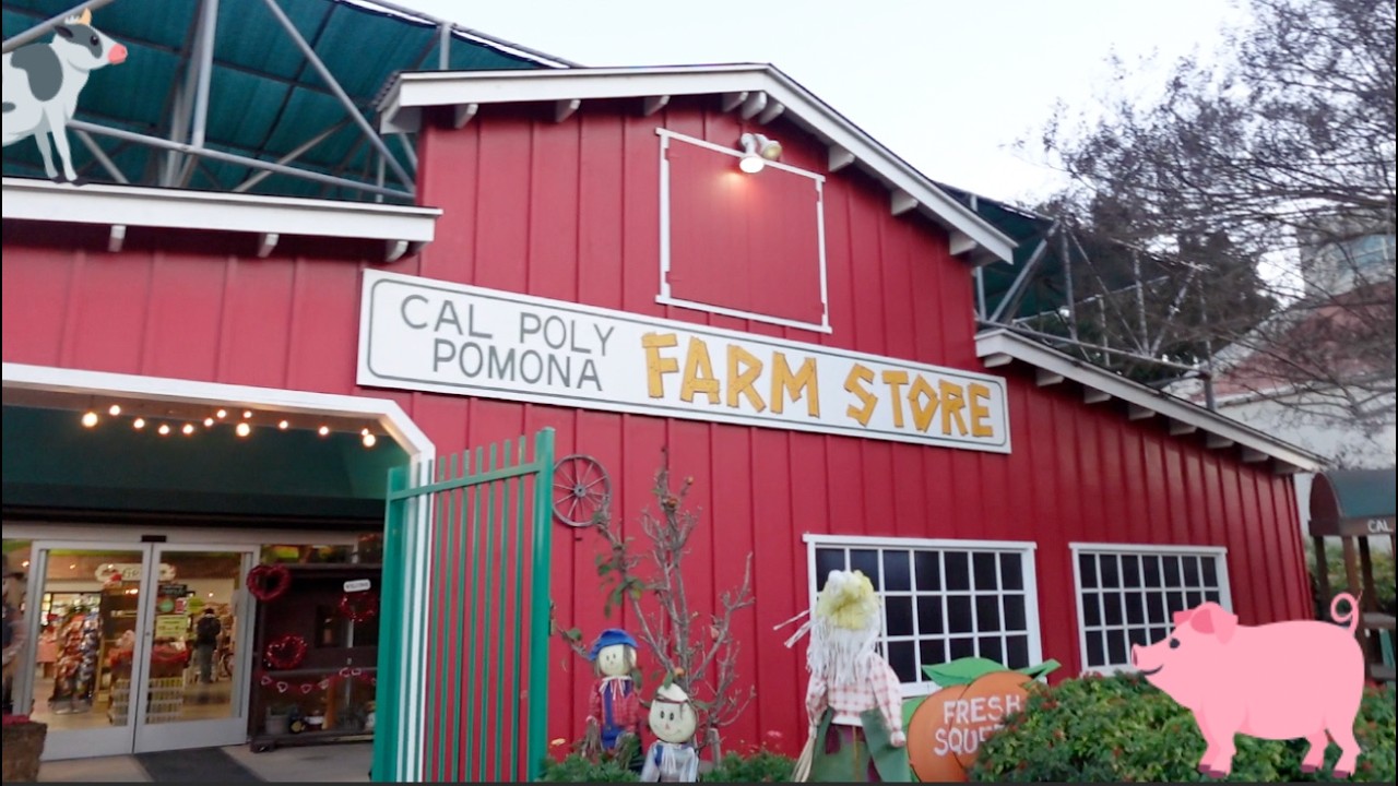 I Went to A Farm Store