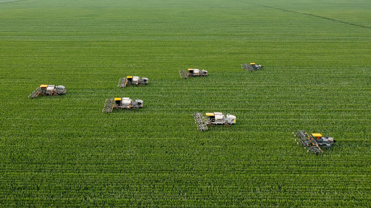 Seven Units Detasseling Corn in Central Illinois