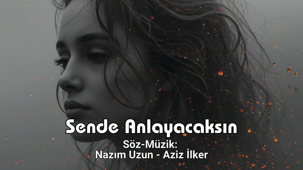 Sen de Anlayacaksın