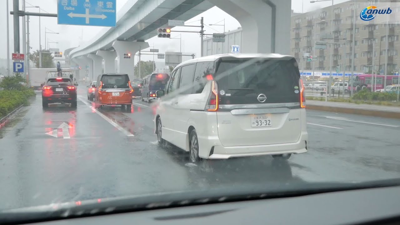 ANWB Exclusief: Nissan e-Power 2019 (BENZINEMOTOR MOET EV BETAALBAAR MAKEN)