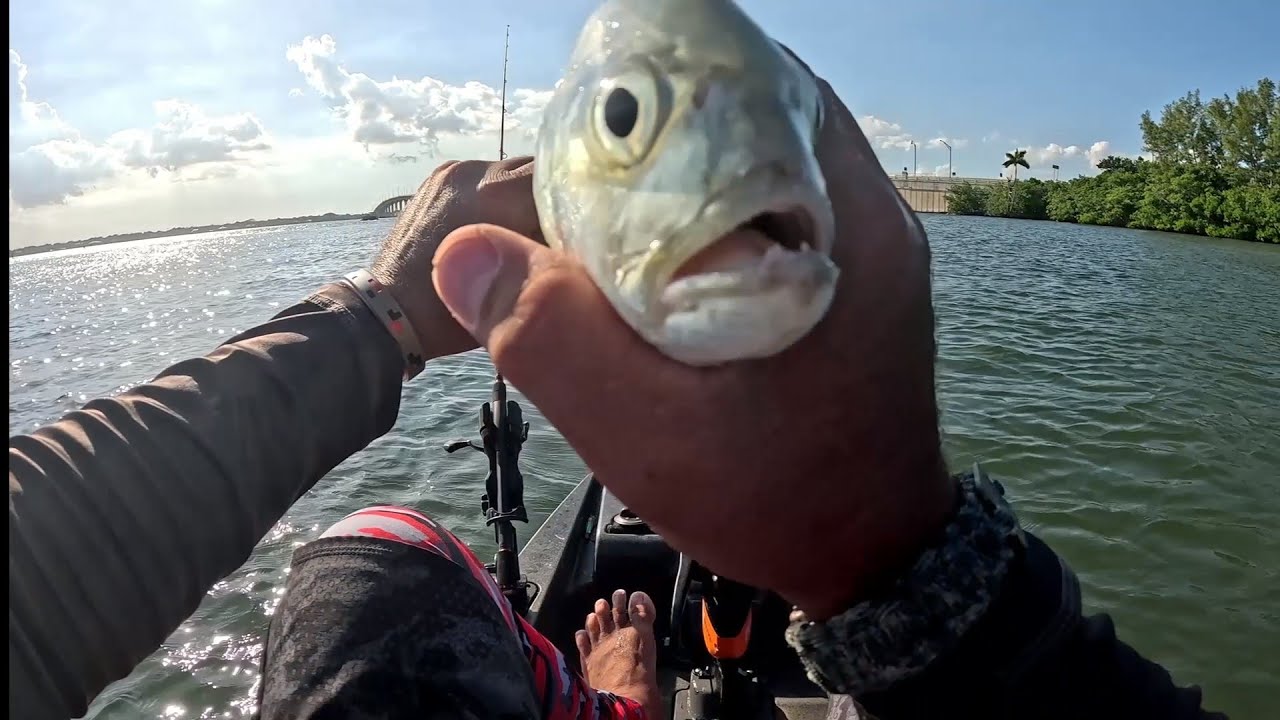 Part 2 - JACKAPOCALISS and NICE SNOOK!!!!