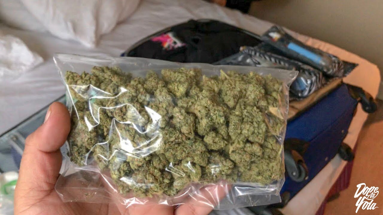 How to Get WEED on the Plane !!!