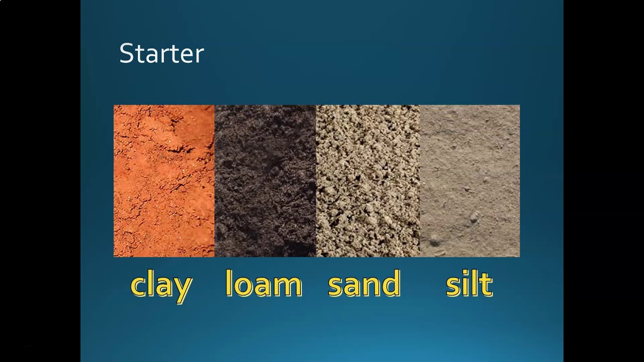 Types of Soil- Loam, Clay, Silt and Sand