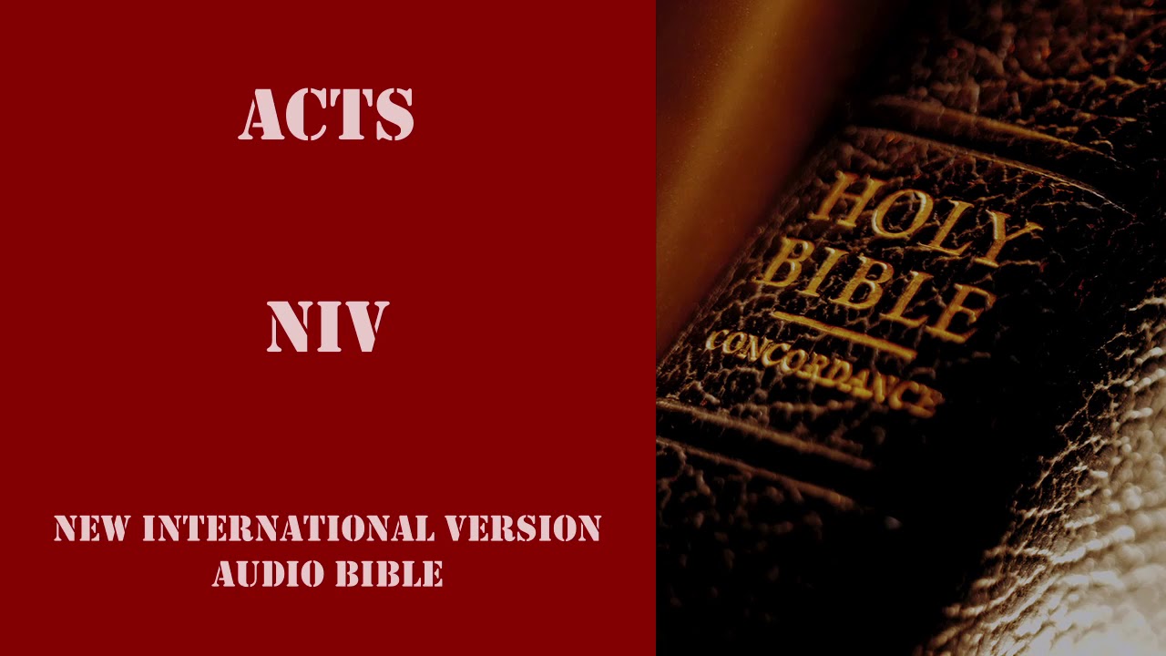 Acts NIV Audio Bible & Time Index - New International Version by Dramatized.