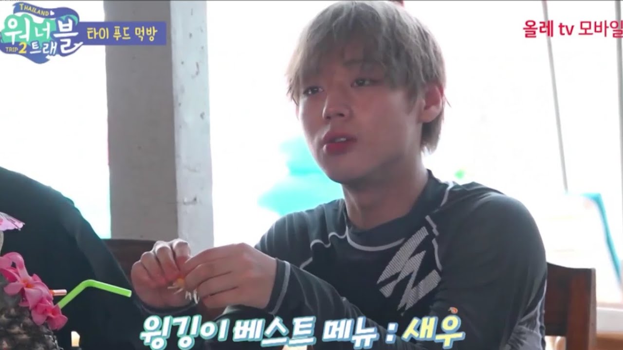 워너트래블 시즌2 1~3화 박지훈 cut