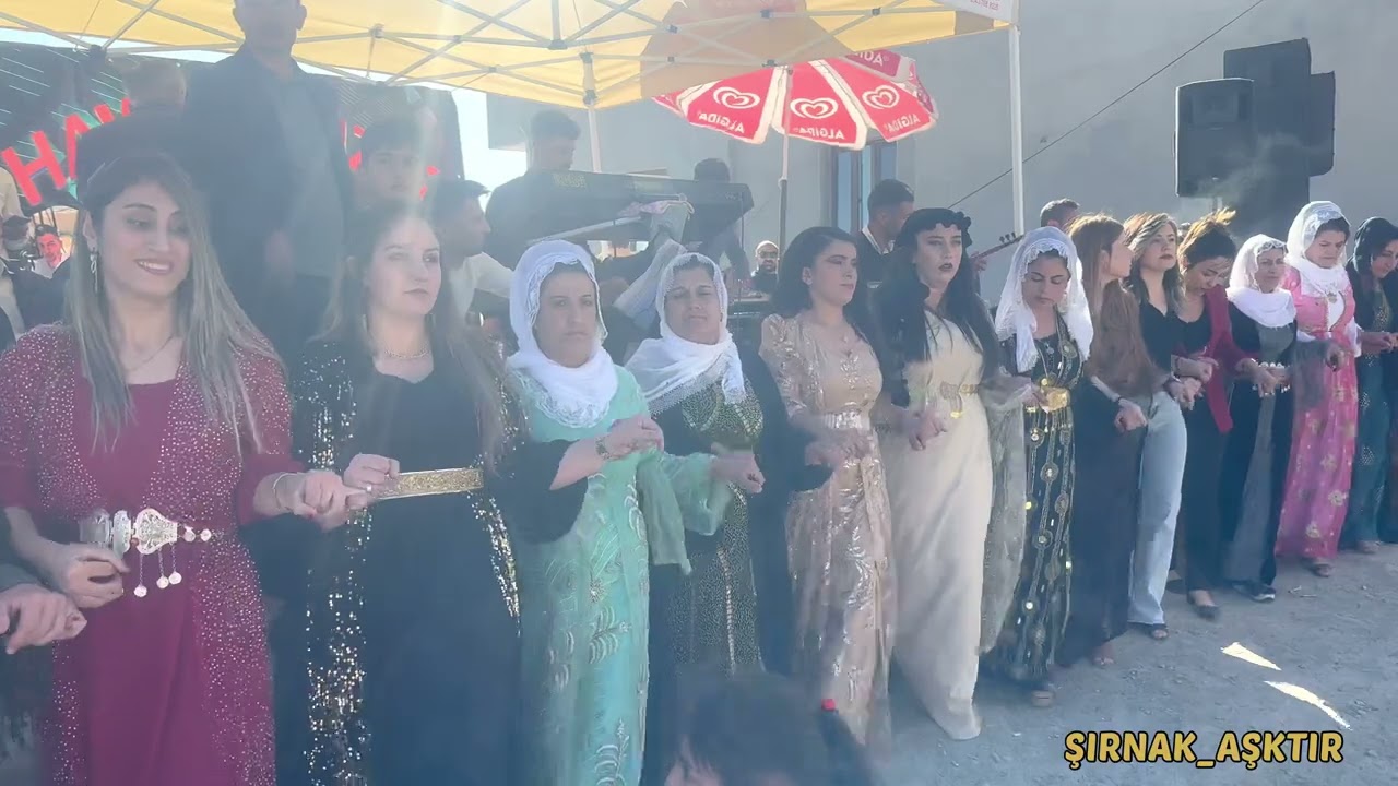 BEŞİR KABUL DÜĞÜNÜ HAWIN MÜZİK PART1 #şirnakdüğünleri #halaybaşı #dawet