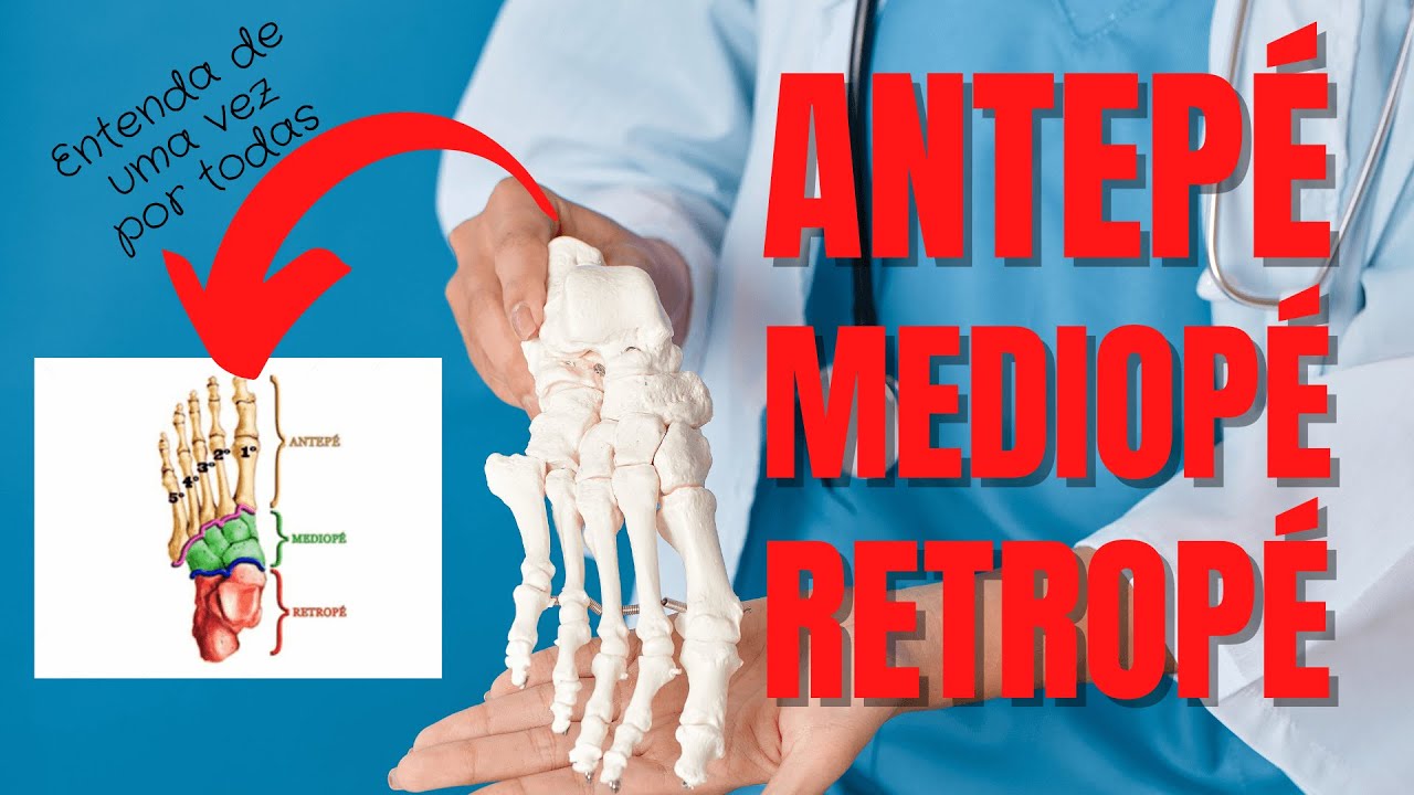 Anatomia do P&eacute; Humano: Antep&eacute;, Mediop&eacute; e Retrop&eacute; Explicados!