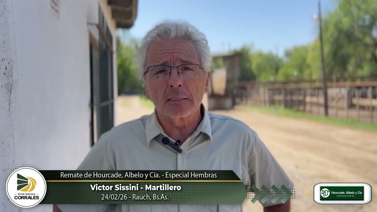 24-02-26 - Victor Sissini - Martillero - Remate de Hourcade, Albelo y Cía. -    Especial Hembras