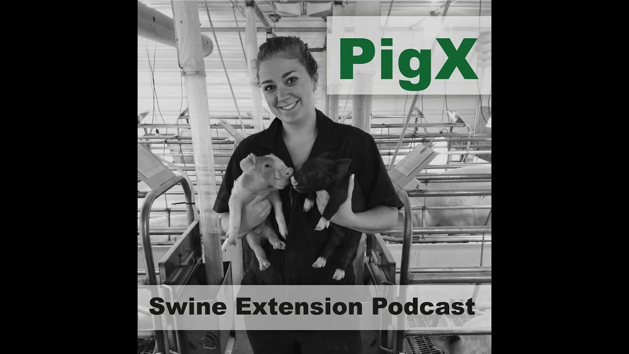 Season 6, Episode 4: Technology in the Swine Industry