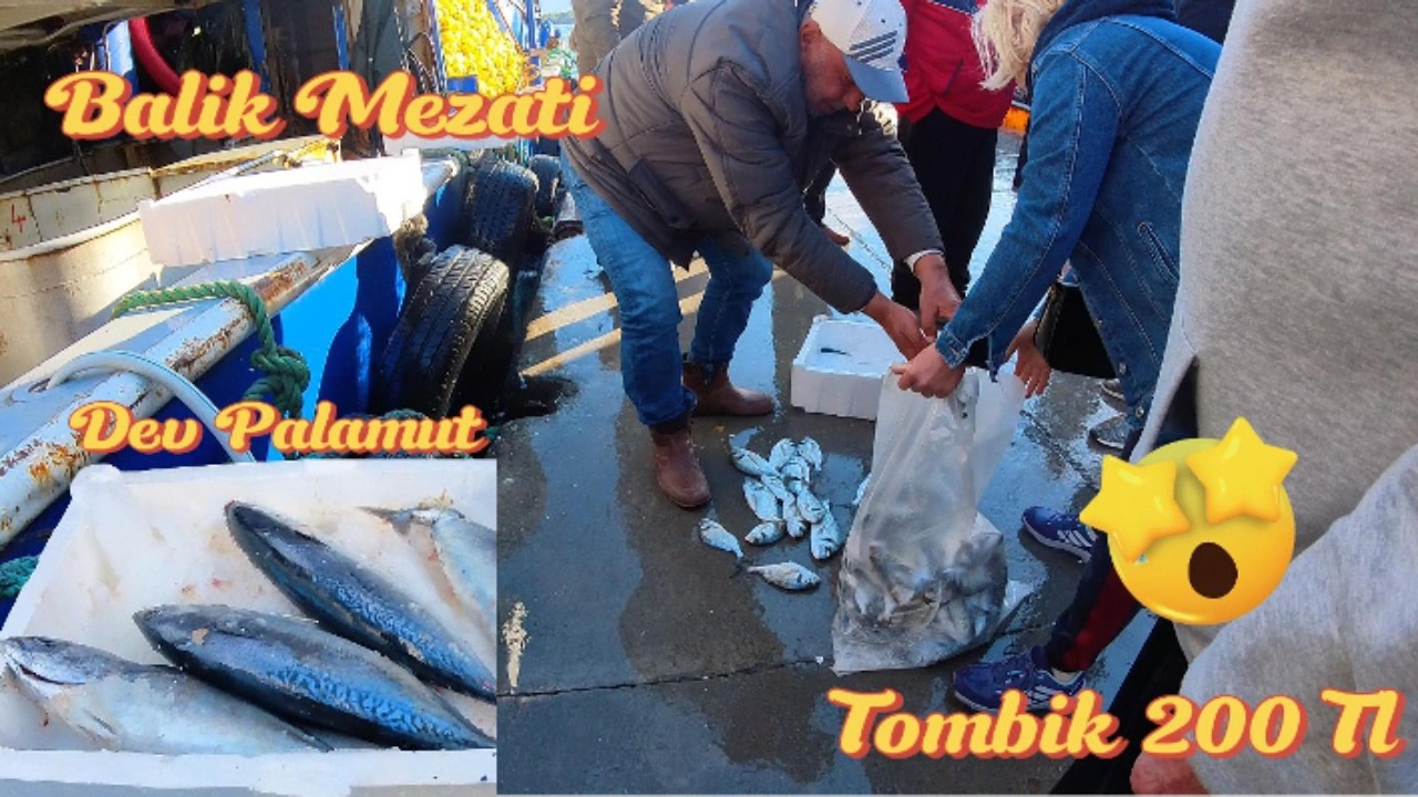 Balık Mezatında Büyük Olay! 15 Kilo 500 TL!