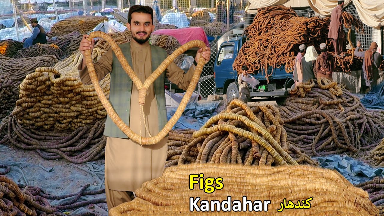 Figs of Kandahar | Dried Fruit Afghanistan | د کندهار انځر