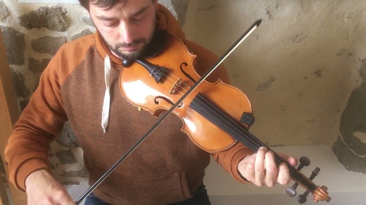 The Trip to Nenagh / The Meadow - Reel