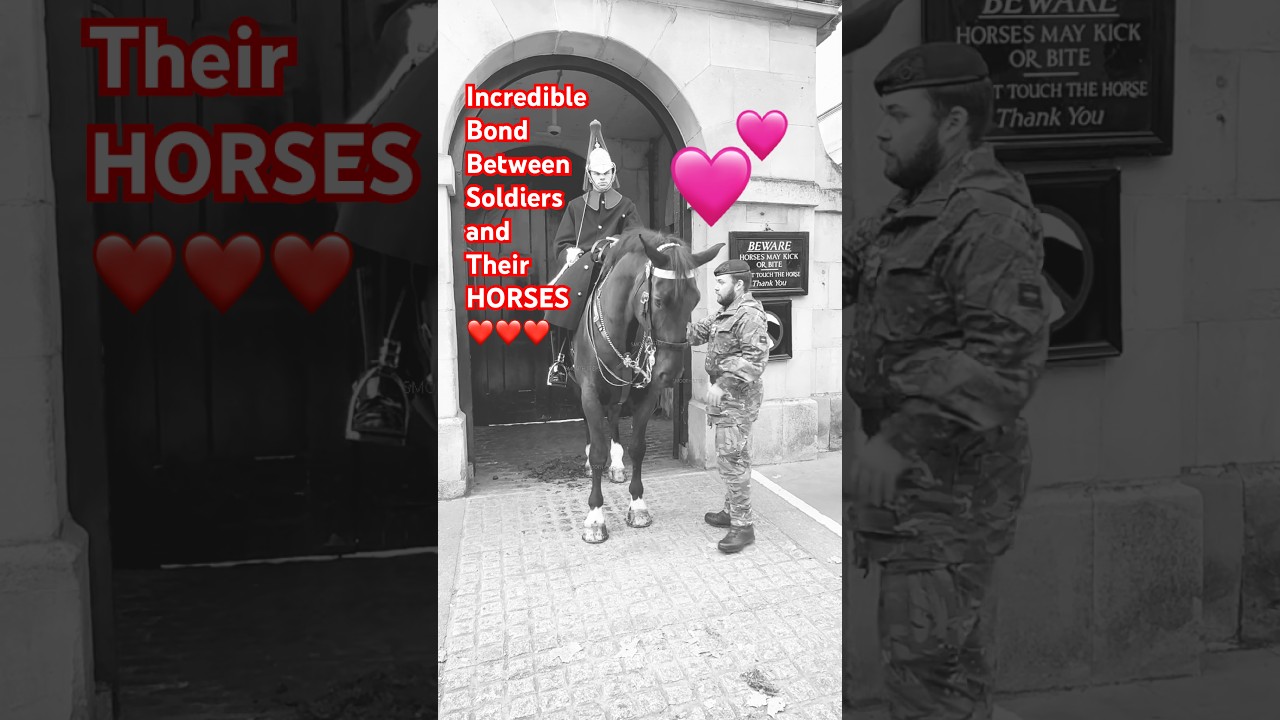Невероятная связь между солдатами и их лошадьми ❤️ #kingsguard #horseguards