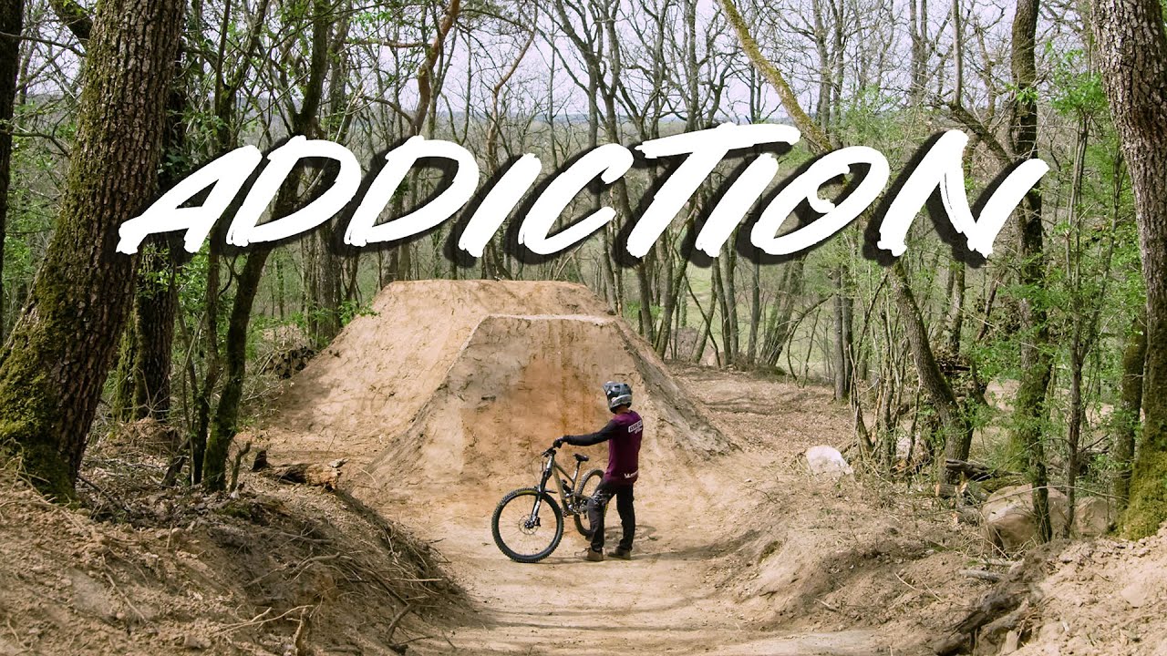 ADDICTION - WILLIAM ROBERT