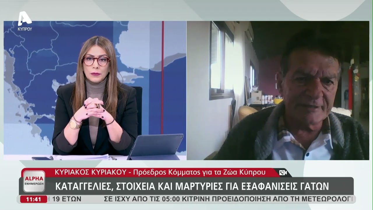 Καταγγελίες, στοιχεία και μαρτυρίες για εξαφανίσεις γάτων | AlphaNews Live