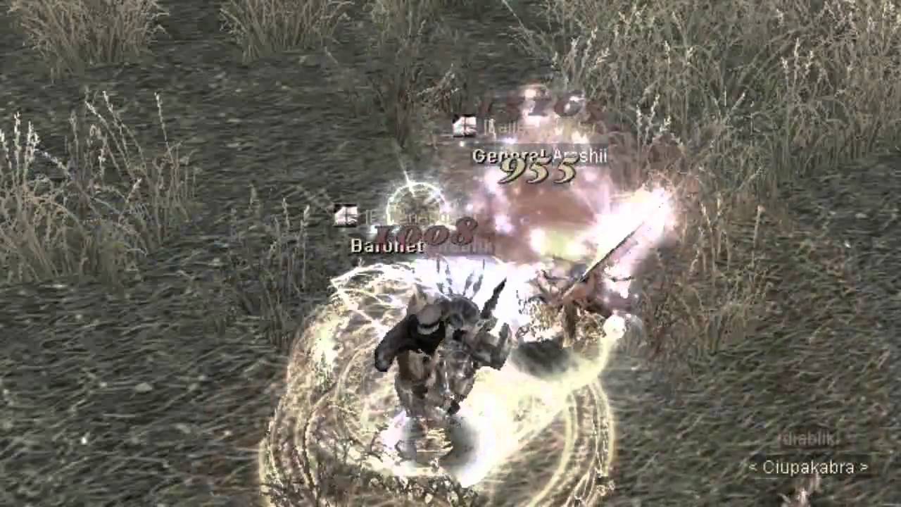 Silkroad ~ LvL 110 PVP Full SON s/s Nuker