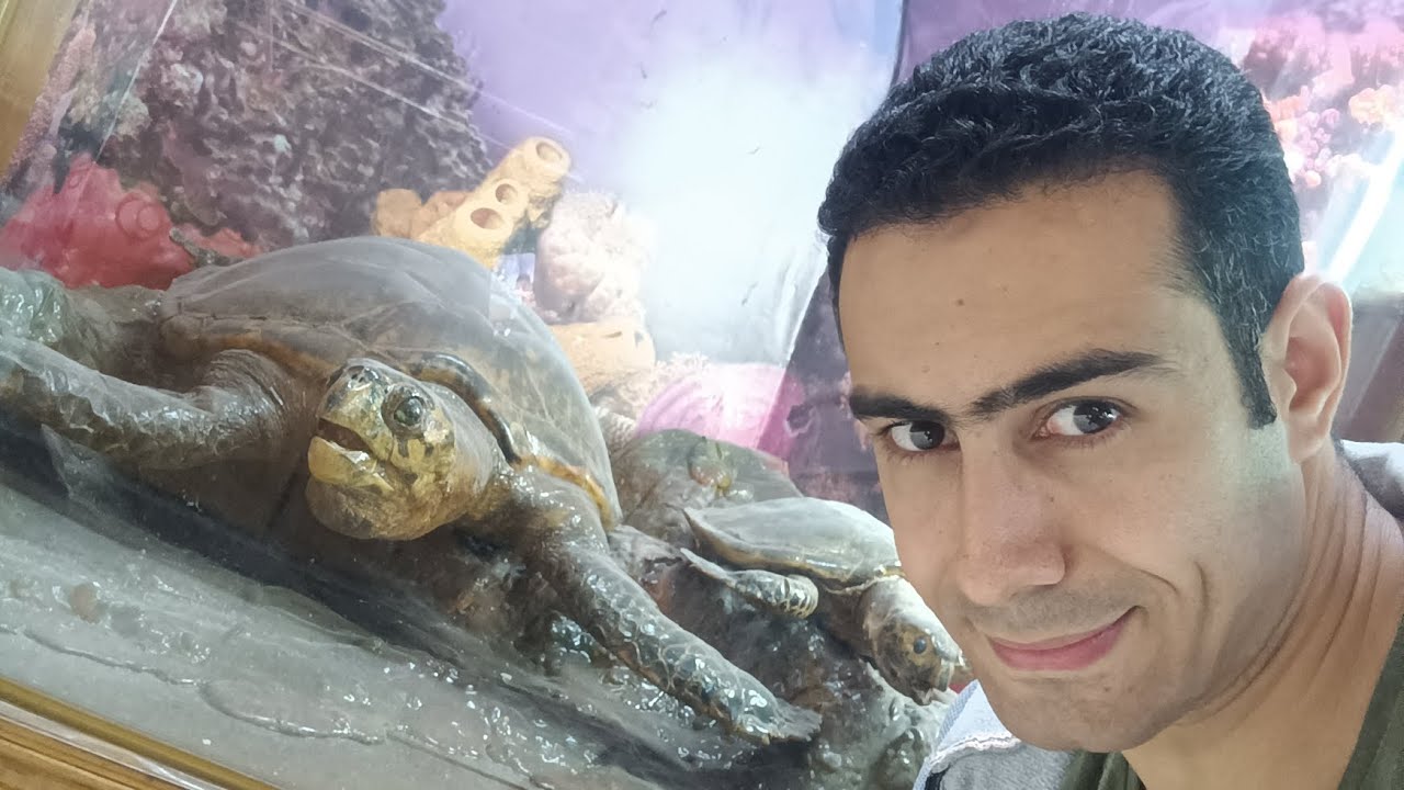 جوله بمتحف المحنطات البحرية بالإسكندرية ﻿ #مصر_للمصريين