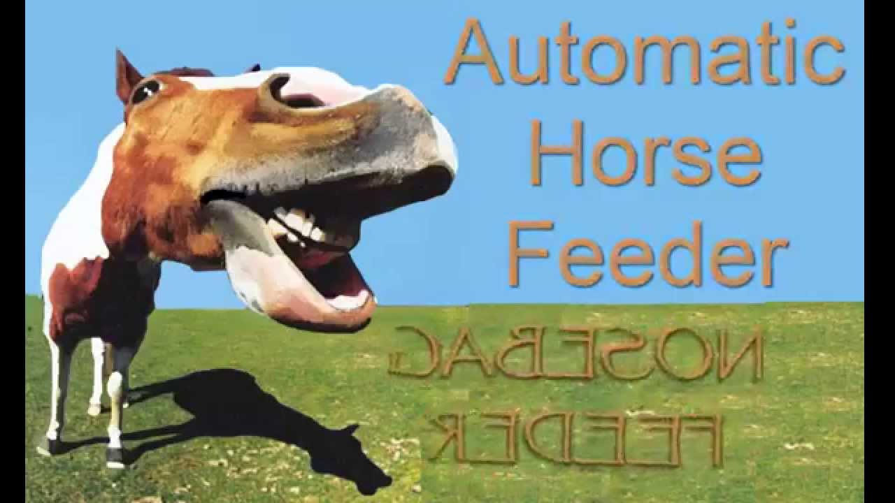 Nosebag  feeder A