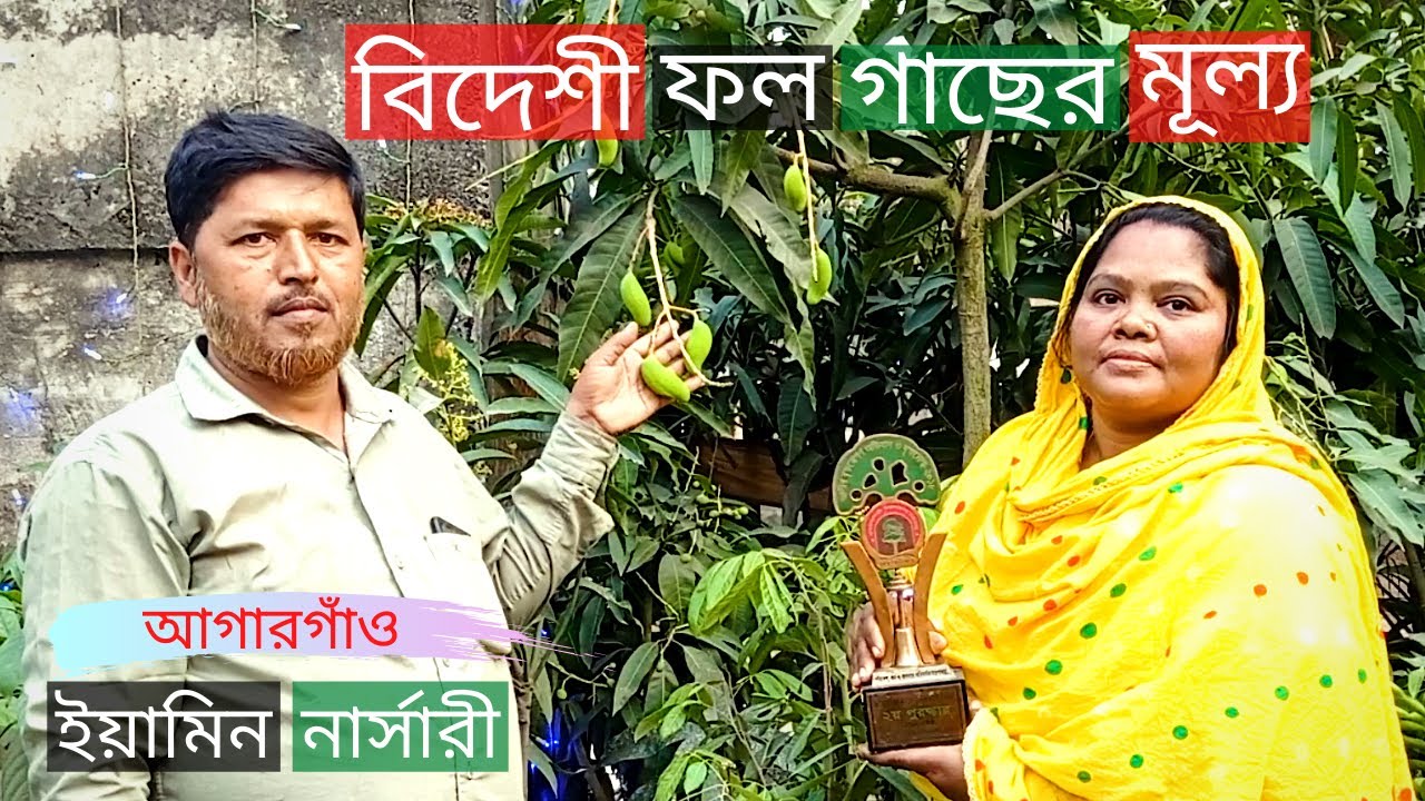 Foreign Fruit Tree Price In Yamin Nursery | বিদেশী ফল গাছের মূল্য | Gardening Bangladesh