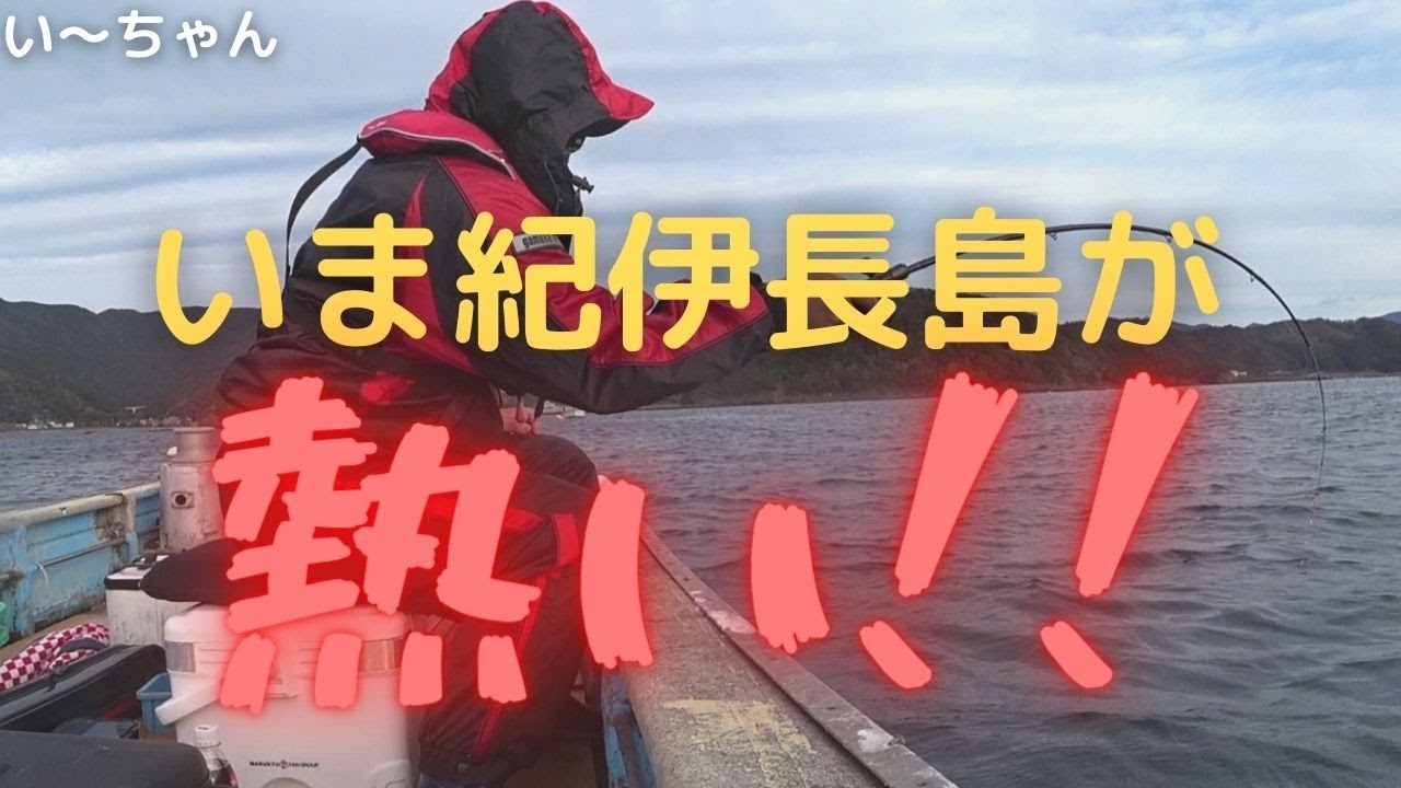 真冬のカセで大型チヌ、マダイ狙い！　脂の乗りまくった良型が釣りたいなら今しかない！？三重県紀伊長島 和渡船