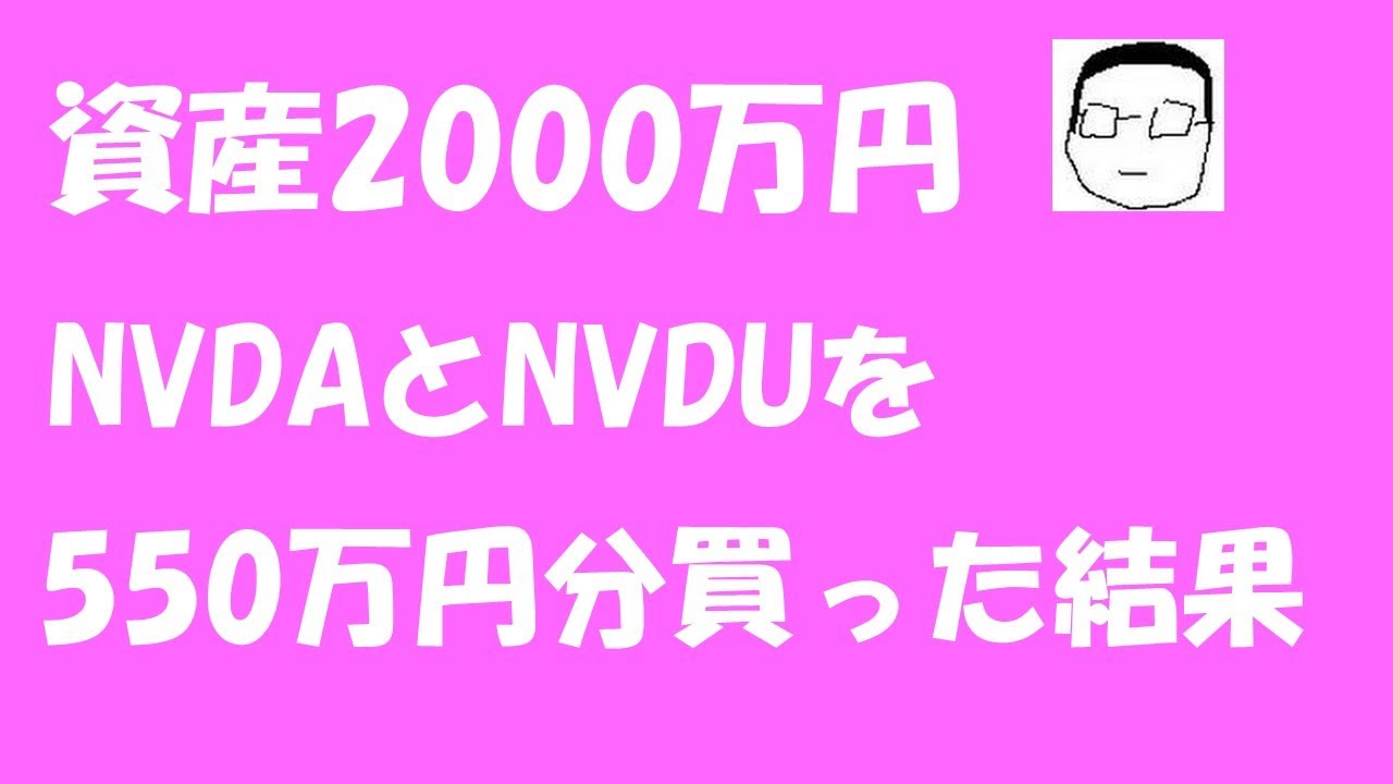 【2024年エヌビディア収支まとめ】NVDAとNVDUを550万円分買って売ってみた