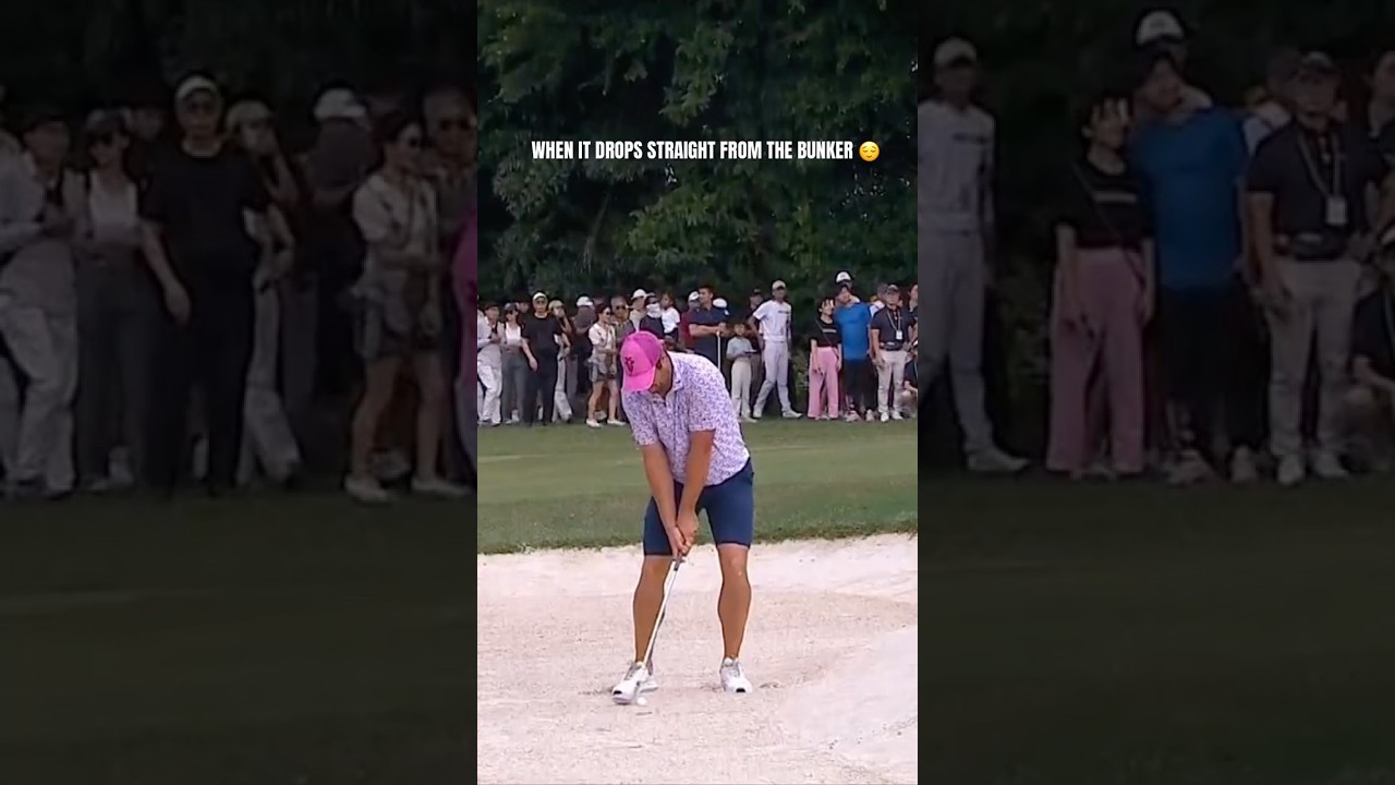Кадры из бункера просто потрясающие 😌⛳ #МеждународныйСериал