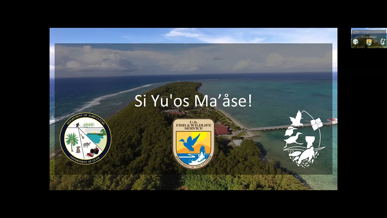 MICC 2025: Bird Conservation