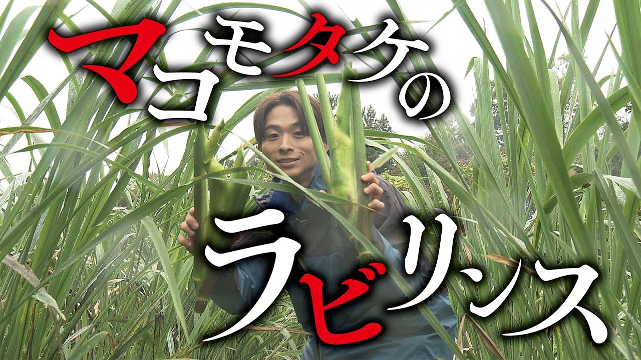 【祝！チャンネル開設】マコモタケと澤夏の沼にハマる