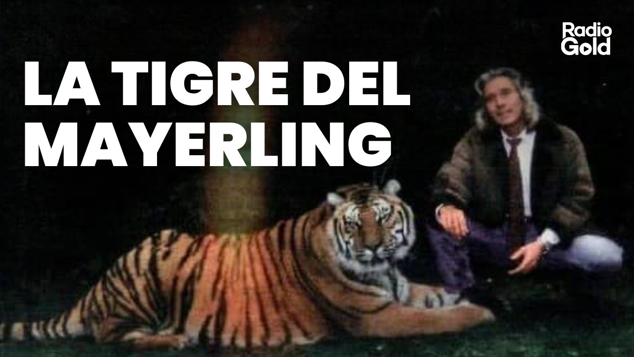 Tigri, topless e sacchi pieni di soldi: quando il Mayerling era il centro della disco