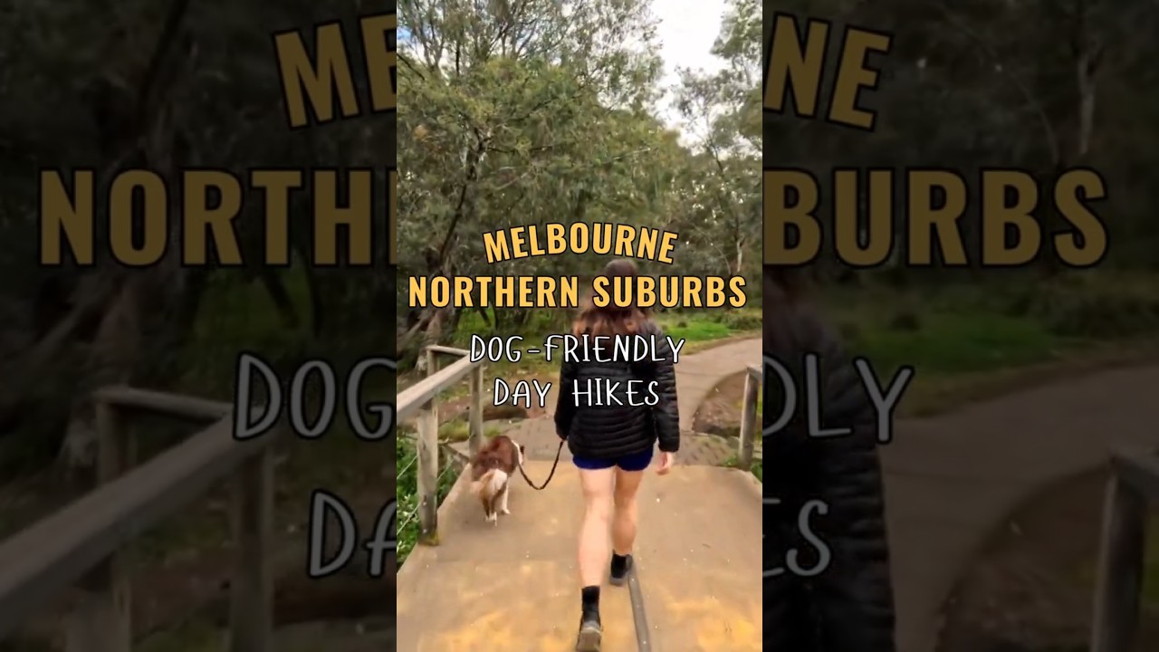 3 Dog-friendly Walks in Melbourne's North! #hiking #dogfriendlyhikes #hikingwithdogs