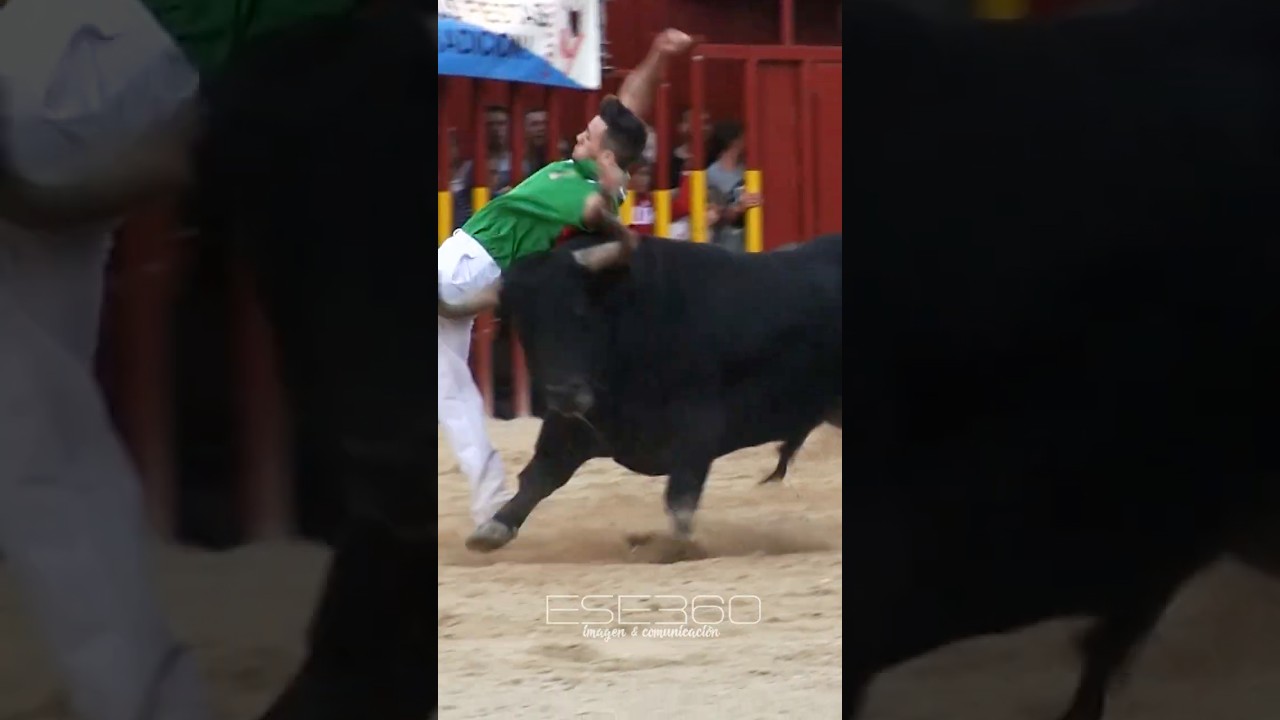 EL MEJOR RECORTADOR DE TOROS BRAVOS #toros #sports #madrid