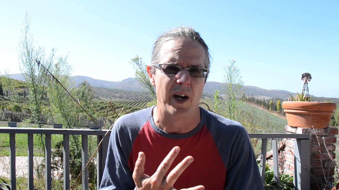 Wes Hagen's Weekly Wine Blog:  Why is Wine the Most Important Fermented Beverage in the World?