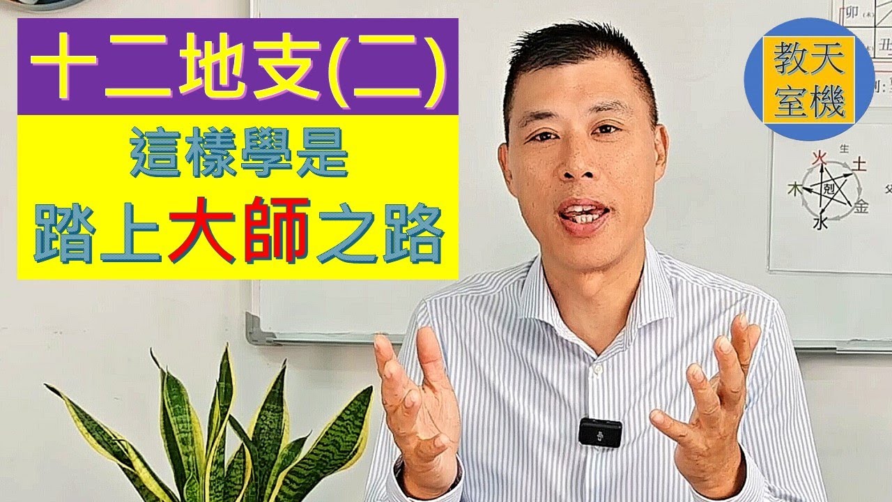 十二地支 (二) ｜一學就懂 ｜六沖｜六合｜三合局｜入墓｜相刑 ｜大師如何學習｜天機教室 (EP 5)