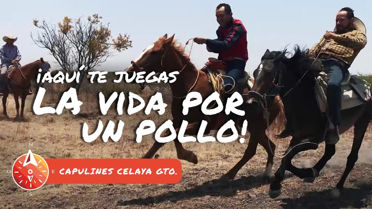 ¿Quien se cayó en las carreras? a caballo y a pie Los Capulines, Celaya, Guanajuato