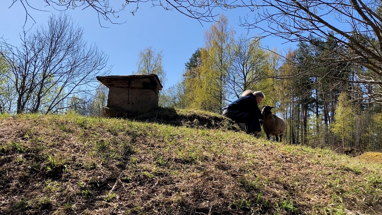 Svartviks Gård - Matlandskap Södra Dalarna 2024