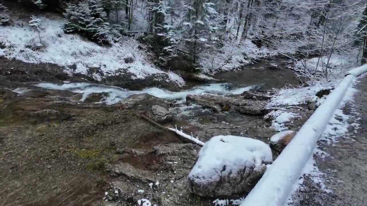 Walking in a Snow Forest - 4K Winter - Zakopane Poland 2023