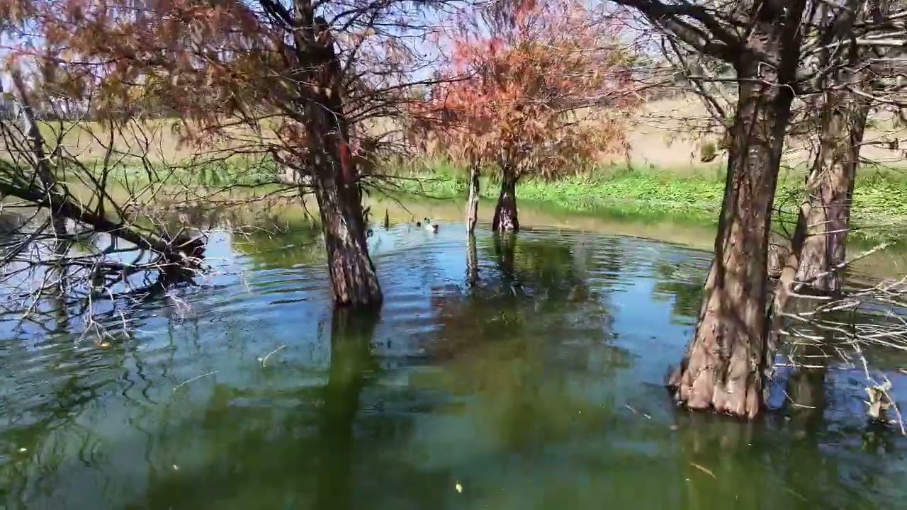 1150215南興公園+旱溪
