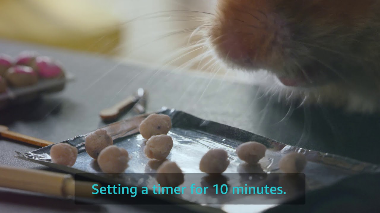 A3Echo Hamster Dough 042817 Final