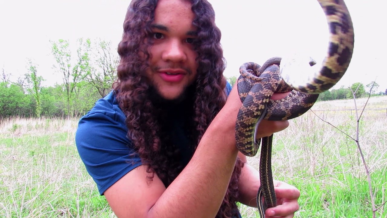 DO SNAKES HAVE BUTTHOLES?? Finding Snakes in the Wild 2021