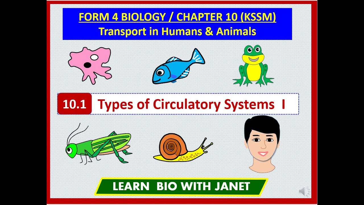 BIOLOGY FORM 4 KSSM CHAPTER 10 (10.1) TYPES OF CIRCULATORY SYSTEM PART 1