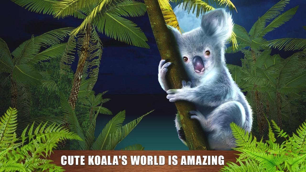 🐻Koala Simulator  Cute Bear Wild Life 3D-By Wild Animals Clan-Android
