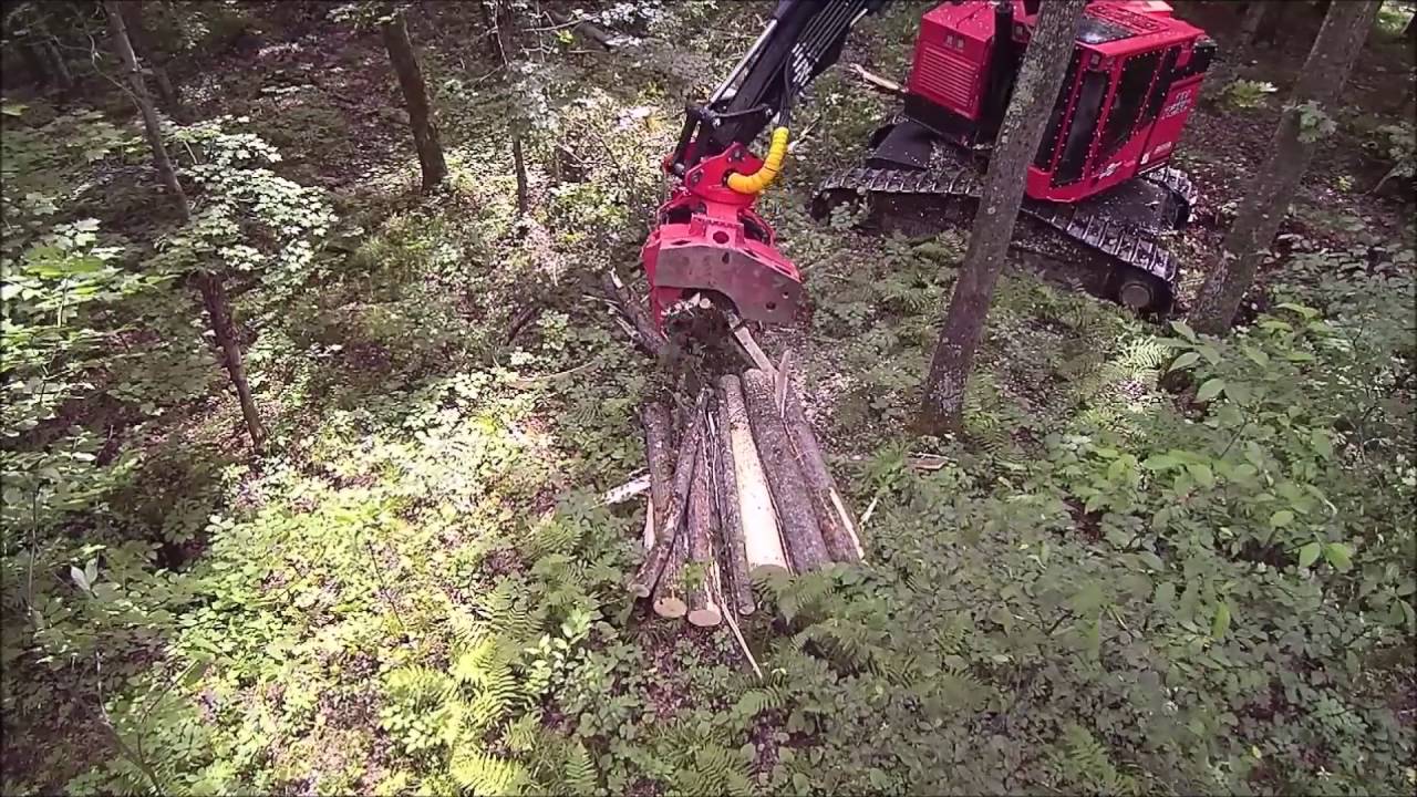 TimberPro TN725C with J.P. Skidmore CF-22 processing head