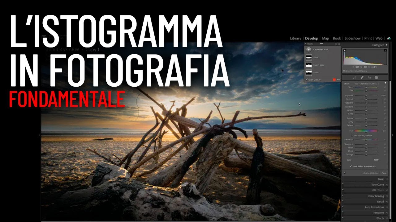 ISTOGRAMMA IN CAMERA E NEI SOFTWARE DI SVILUPPO: il riferimento per i fotografi.