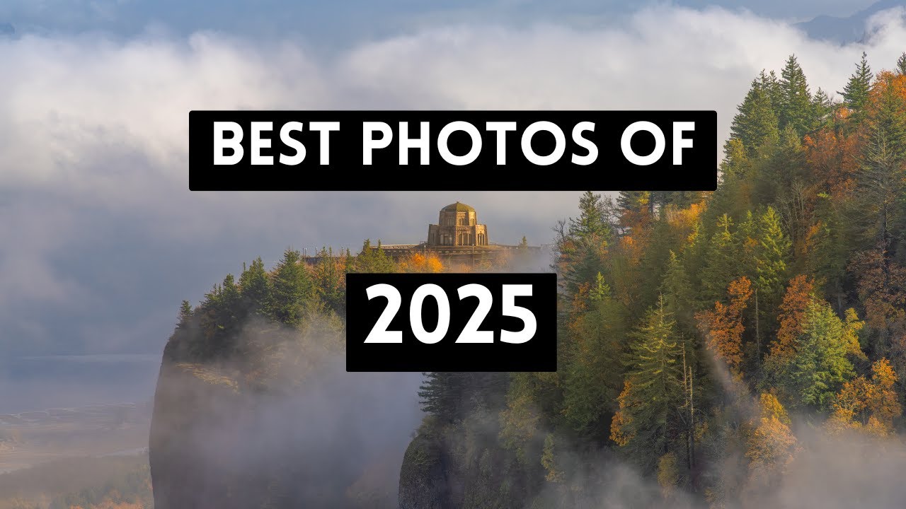 A Year in Nature | My Favorite Photography Images of 2025